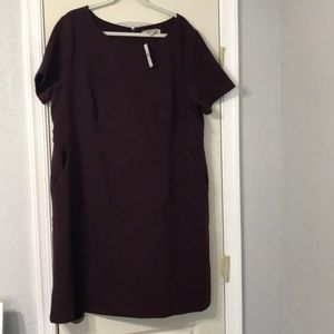 LOFT dress never worn
